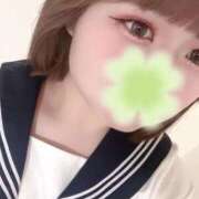 ヒメ日記 2025/09/24 07:27 投稿 ホナミ(奥方) 奥様幕府