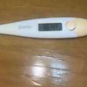 ヒメ日記 2025/09/24 16:07 投稿 ホナミ(奥方) 奥様幕府