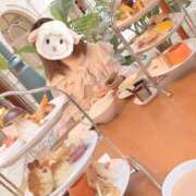 ヒメ日記 2025/11/11 20:01 投稿 めあ ピュアコス学園