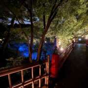 ヒメ日記 2025/10/03 20:04 投稿 かのん【女子アナ系清楚素人！】 STELLA NEXT－ステラネクスト－