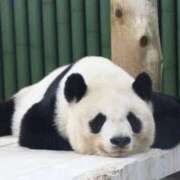 ヒメ日記 2025/10/19 14:53 投稿 瀬川 熟女の風俗最終章　鶯谷店