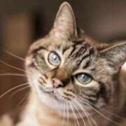 ヒメ日記 2026/01/11 16:16 投稿 瀬川 熟女の風俗最終章　鶯谷店