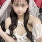 ヒメ日記 2025/11/22 08:53 投稿 なごみ VIVIDCREW十三店