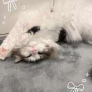 ヒメ日記 2025/11/10 20:20 投稿 織姫【おりひめ】 Venti大阪