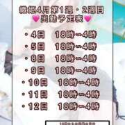 織姫【おりひめ】 💗出勤予定💗 Venti大阪