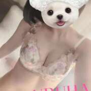 うるは 自己紹介①💓みてね💓 奥様はエンジェル　立川店