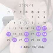 えま １月の出勤予定🗓️✨ シェリーエンジェル