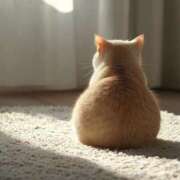 ヒメ日記 2026/01/26 09:54 投稿 えま シェリーエンジェル