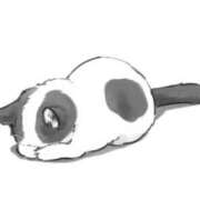 ヒメ日記 2026/03/18 09:29 投稿 えま シェリーエンジェル