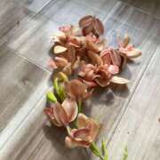 ヒメ日記 2026/04/02 23:37 投稿 えま シェリーエンジェル