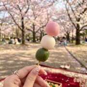 ヒメ日記 2026/04/05 10:20 投稿 えま シェリーエンジェル