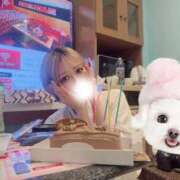 しえる 💌💭 One More奥様　横浜関内店