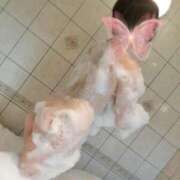 ヒメ日記 2026/04/15 15:34 投稿 久遠あき 五十路マダム静岡店（カサブランカG）