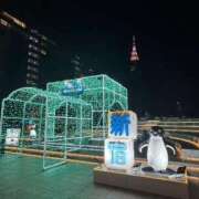 ヒメ日記 2025/12/14 22:11 投稿 神崎めい アラフォーna奥様 アラフィフna奥様（埼玉ハレ系）