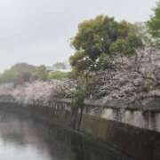 ヒメ日記 2026/04/02 21:03 投稿 神崎めい アラフォーna奥様 アラフィフna奥様（埼玉ハレ系）