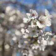 ヒメ日記 2026/04/03 22:45 投稿 神崎めい アラフォーna奥様 アラフィフna奥様（埼玉ハレ系）