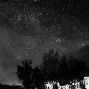 若宮月 星に願いを セレブショップ新宿（東京ハレ系）