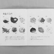 ヒメ日記 2026/02/16 12:13 投稿 若宮月 セレブショップ新宿（東京ハレ系）