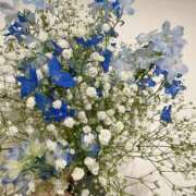 ヒメ日記 2025/10/26 21:25 投稿 れに 錦糸町人妻セレブリティ（ユメオト）