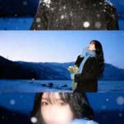 ヒメ日記 2025/11/10 19:15 投稿 しおり ホワイトベル