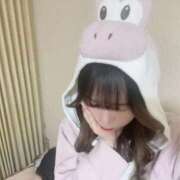 ヒメ日記 2025/11/11 11:12 投稿 しおり ホワイトベル