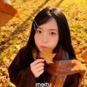 ヒメ日記 2025/11/18 16:12 投稿 しおり ホワイトベル