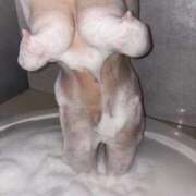 ヒメ日記 2025/11/20 19:34 投稿 山崎たわわ HYPER TOKYO