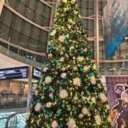 ヒメ日記 2025/12/24 18:32 投稿 あき モアグループ神栖人妻花壇