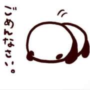 ヒメ日記 2025/11/22 17:39 投稿 のん★妖艶でM気質な極上美女★ Bell～S級美女お姉様・人妻デリヘル～