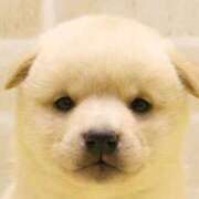 ヒメ日記 2025/09/20 19:10 投稿 のの わちゃわちゃ密着リアルフルーちゅ西船橋