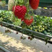 ヒメ日記 2025/09/20 22:50 投稿 のの わちゃわちゃ密着リアルフルーちゅ西船橋