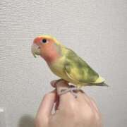 ヒメ日記 2025/10/24 18:20 投稿 のの わちゃわちゃ密着リアルフルーちゅ西船橋