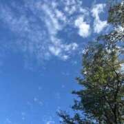 ヒメ日記 2025/09/23 16:48 投稿 あみ チューリップ土浦店