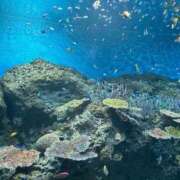 ヒメ日記 2025/10/23 15:25 投稿 あみ チューリップ土浦店