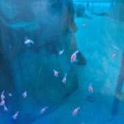 ヒメ日記 2025/11/03 15:18 投稿 あみ チューリップ土浦店