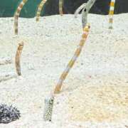 ヒメ日記 2025/11/08 10:38 投稿 にの【Gカップでパフパフ】 ソープランド看護学院ディエックス