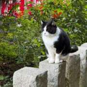 ヒメ日記 2025/12/23 09:39 投稿 にの【Gカップでパフパフ】 ソープランド看護学院ディエックス