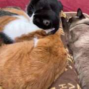 ヒメ日記 2026/02/22 18:48 投稿 にの【Gカップでパフパフ】 ソープランド看護学院ディエックス