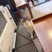 ヒメ日記 2026/02/24 17:18 投稿 にの【Gカップでパフパフ】 ソープランド看護学院ディエックス