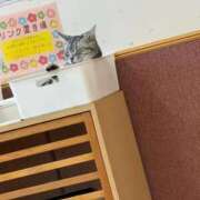 にの【Gカップでパフパフ】 ポルターガイスト…？？ ソープランド看護学院ディエックス