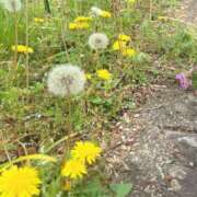 くるみ 本日も⭐︎ 奥鉄オクテツ神奈川店（デリヘル市場グループ）