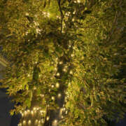 ヒメ日記 2025/09/27 22:35 投稿 すい 奥鉄オクテツ神奈川店（デリヘル市場グループ）