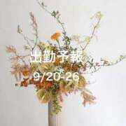 あさ 出勤予報9/20-25 奥鉄オクテツ神奈川店（デリヘル市場グループ）