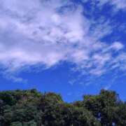 ヒメ日記 2025/09/24 07:50 投稿 ななお 奥鉄オクテツ神奈川店（デリヘル市場グループ）