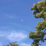 ヒメ日記 2025/10/12 09:00 投稿 ななお 奥鉄オクテツ神奈川店（デリヘル市場グループ）