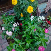 ヒメ日記 2025/10/20 06:35 投稿 ななお 奥鉄オクテツ神奈川店（デリヘル市場グループ）