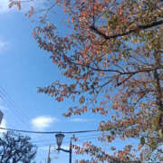 ヒメ日記 2025/11/25 06:40 投稿 ななお 奥鉄オクテツ神奈川店（デリヘル市場グループ）