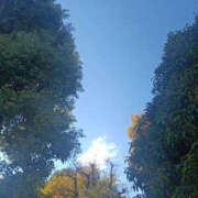 ヒメ日記 2025/11/29 14:15 投稿 ななお 奥鉄オクテツ神奈川店（デリヘル市場グループ）