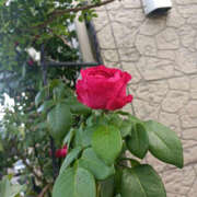 ななお おはようございます 奥鉄オクテツ神奈川店（デリヘル市場グループ）