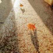 えり お気に入り CLUB POO HACHIOJI（プー八王子）